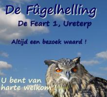 de Fûgelhelling
