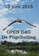 de Fûgelhelling